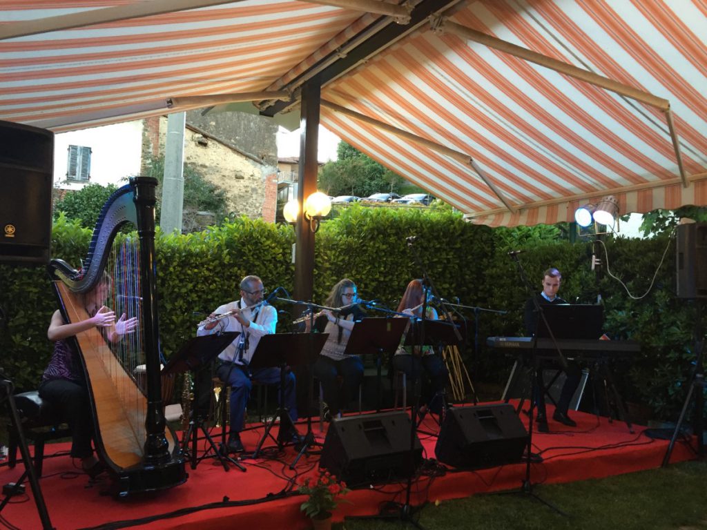 009-Elena-Guarneri-arpa-arpista-cena-ristorante