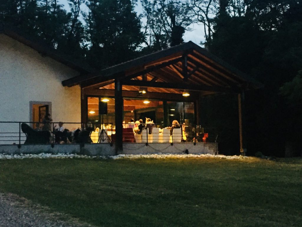 011-Elena-Guarneri-arpa-arpista-vernissage-voce