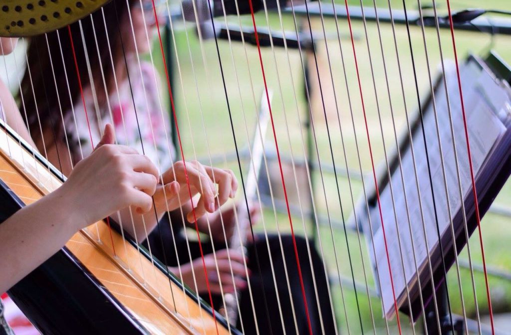 012-Elena-Guarneri-arpa-arpista-vernissage-flauto