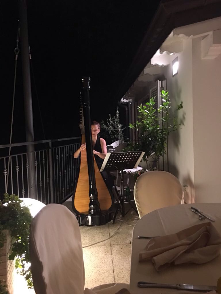 013-Elena-Guarneri-arpa-arpista-cena-sottofondo