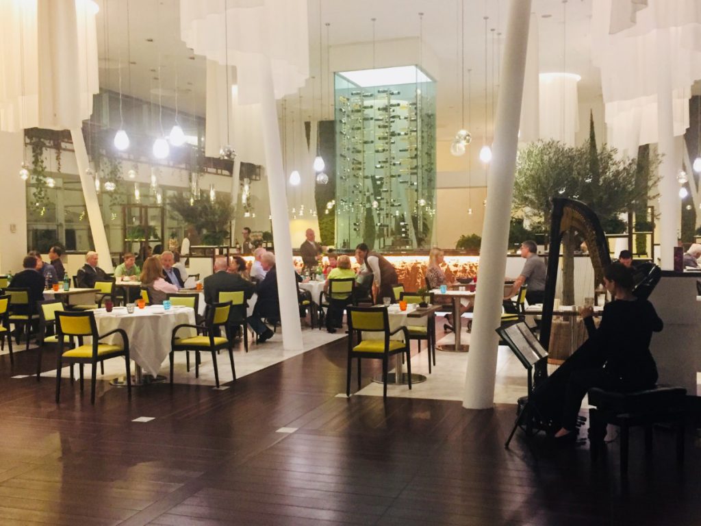 016-Elena-Guarneri-arpa-arpista-hotel-sottofondo