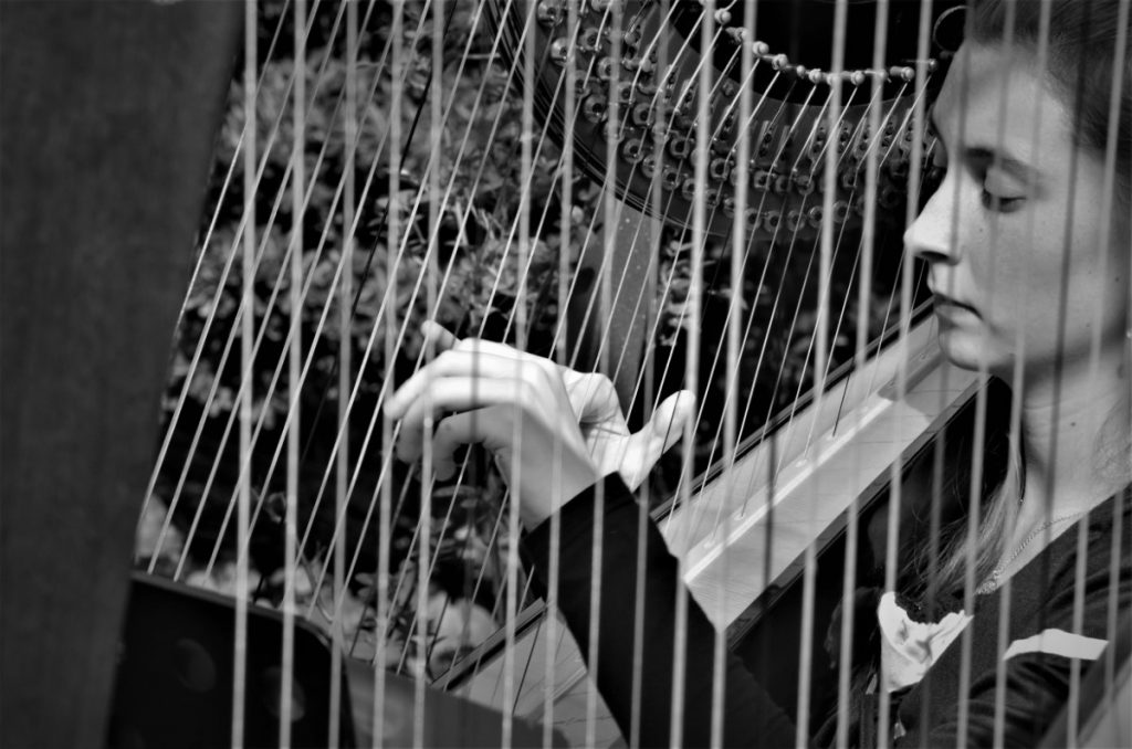 018-Elena-Guarneri-arpa-arpista-festa-fate-parco