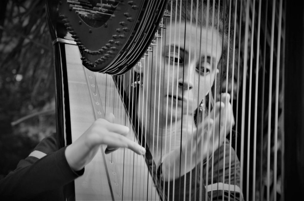 020-Elena-Guarneri-arpa-arpista-festa-Cermenate