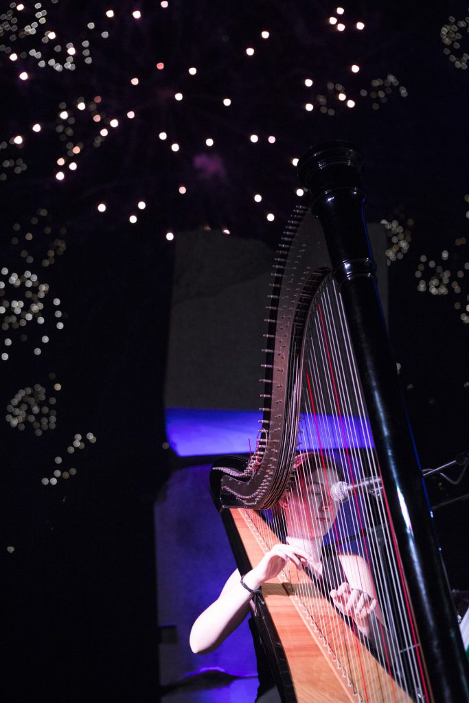 020-Elena-Guarneri-arpa-arpista-fuochi-parco