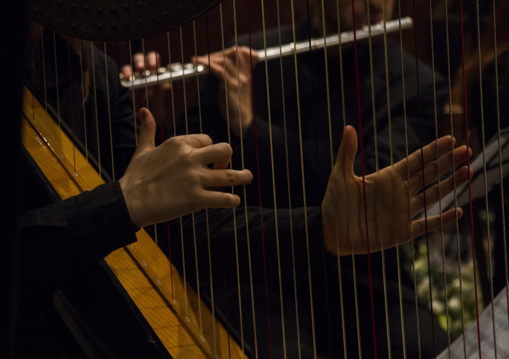 022-Elena-Guarneri-arpa-arpista-Natale-ensemble