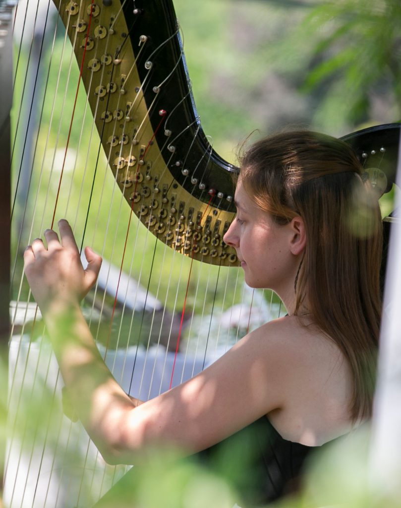 023-Elena-Guarneri-arpa-arpista-viola-voliera