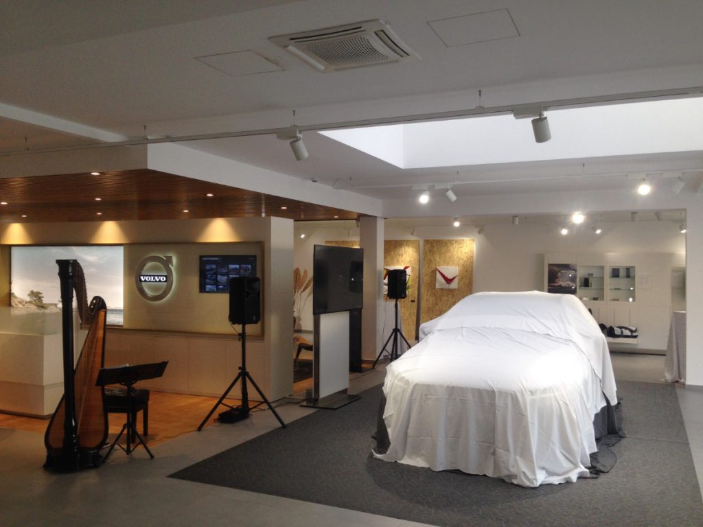 030-Elena-Guarneri-arpa-arpista-evento-auto