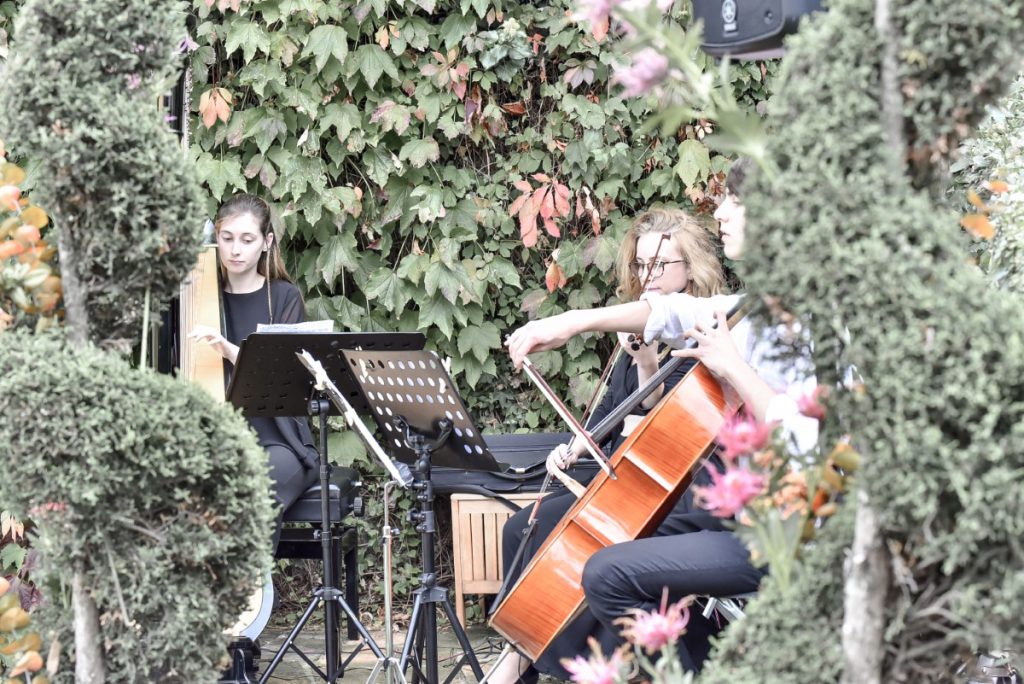 040-Elena-Guarneri-arpa-arpista-sfilata-violino-violoncello